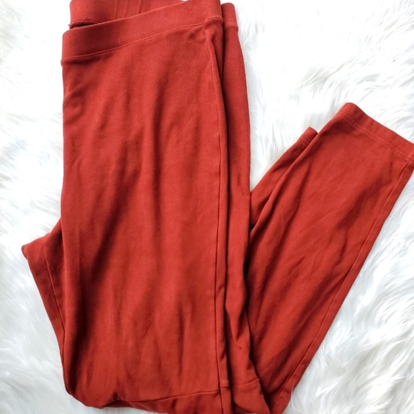 HUE Pants - Womens HUE Jeggings